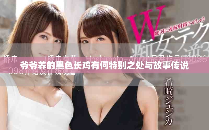 爷爷养的黑色长鸡有何特别之处与故事传说