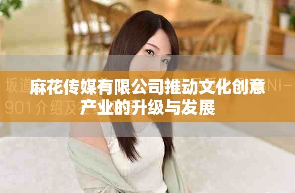 麻花传媒有限公司推动文化创意产业的升级与发展