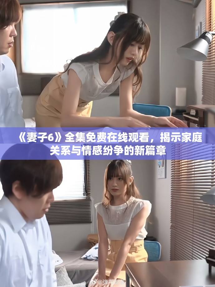 《妻子6》全集免费在线观看，揭示家庭关系与情感纷争的新篇章