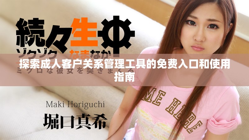 探索成人客户关系管理工具的免费入口和使用指南