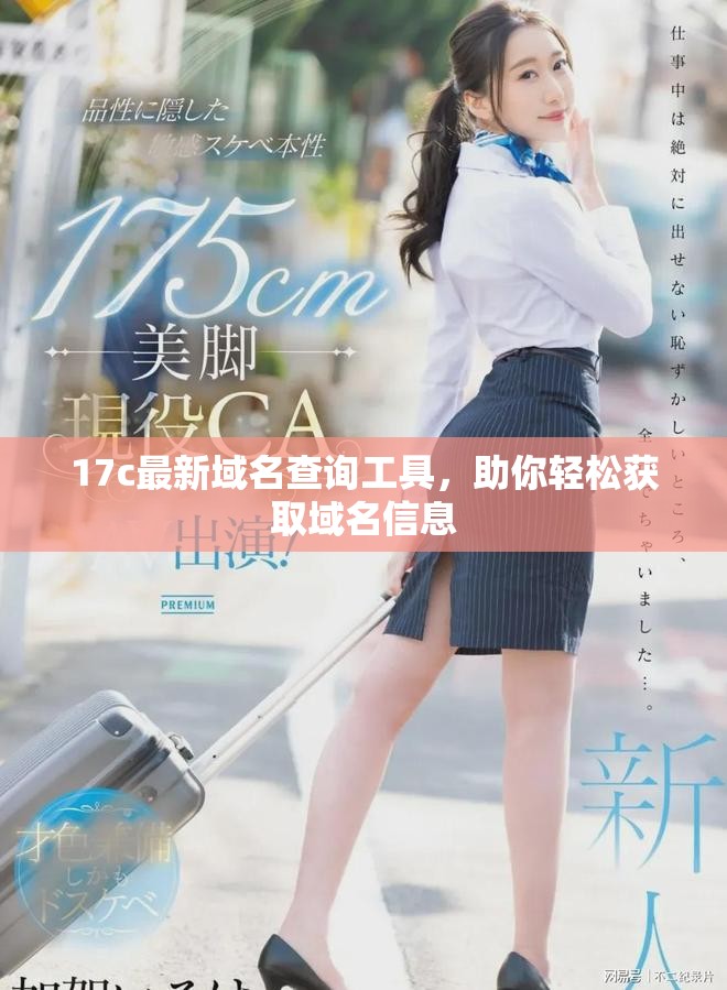 17c最新域名查询工具，助你轻松获取域名信息