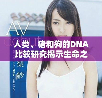 人类、猪和狗的DNA比较研究揭示生命之间的奥秘与联系