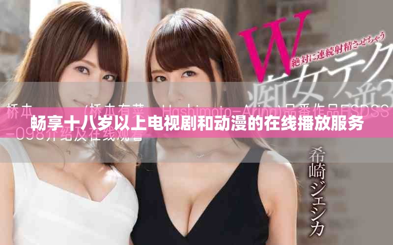 畅享十八岁以上电视剧和动漫的在线播放服务