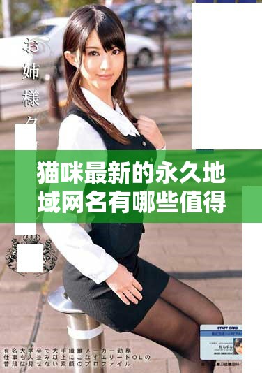 猫咪最新的永久地域网名有哪些值得关注的推荐