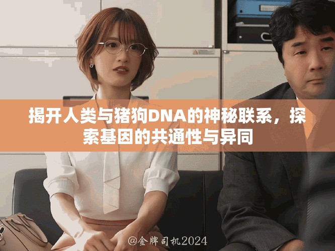揭开人类与猪狗DNA的神秘联系，探索基因的共通性与异同