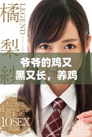 爷爷的鸡又黑又长，养鸡秘诀揭秘令人惊叹