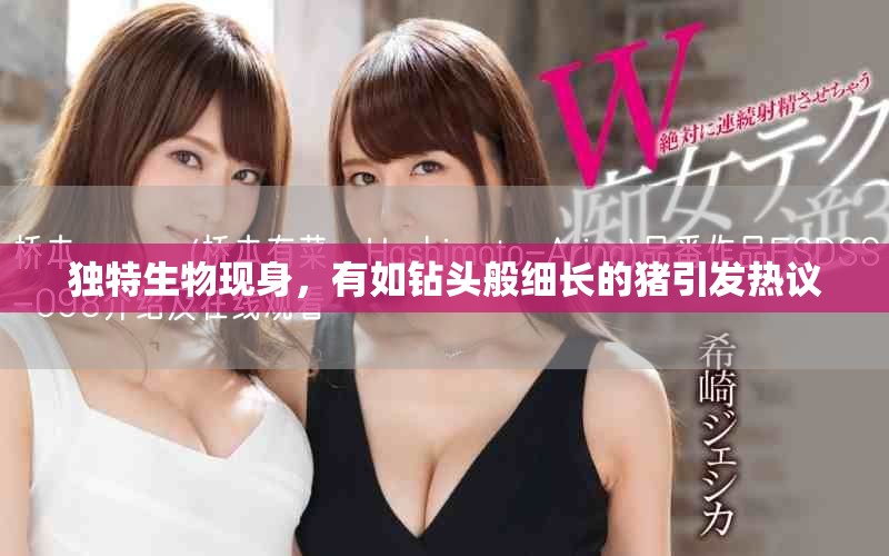独特生物现身，有如钻头般细长的猪引发热议