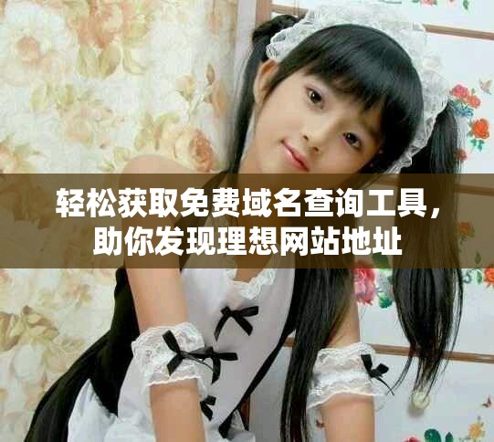 轻松获取免费域名查询工具，助你发现理想网站地址