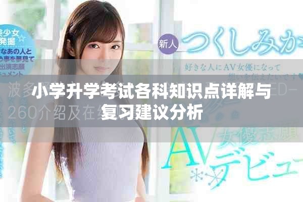 小学升学考试各科知识点详解与复习建议分析