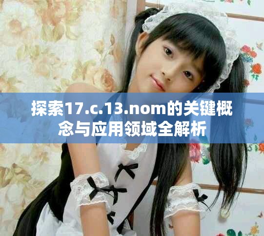 探索17.c.13.nom的关键概念与应用领域全解析