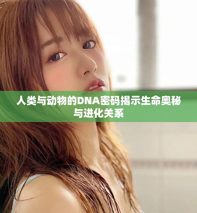 人类与动物的DNA密码揭示生命奥秘与进化关系