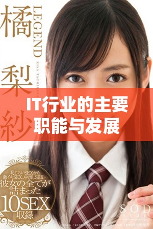 IT行业的主要职能与发展方向全面解析与探讨