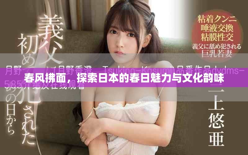春风拂面，探索日本的春日魅力与文化韵味