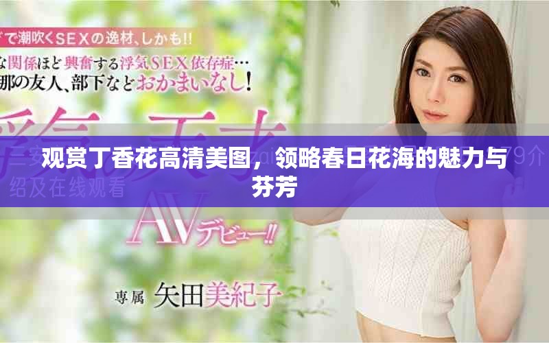 观赏丁香花高清美图，领略春日花海的魅力与芬芳