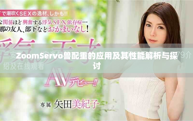 ZoomServo兽配重的应用及其性能解析与探讨