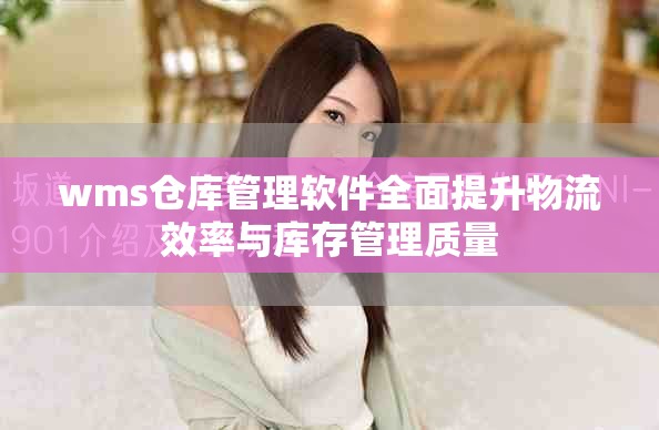 wms仓库管理软件全面提升物流效率与库存管理质量