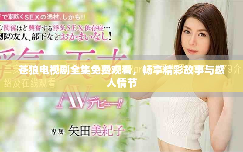 苍狼电视剧全集免费观看，畅享精彩故事与感人情节