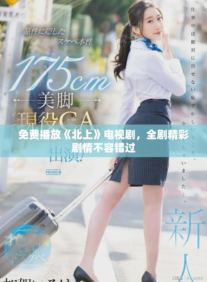 免费播放《北上》电视剧，全剧精彩剧情不容错过