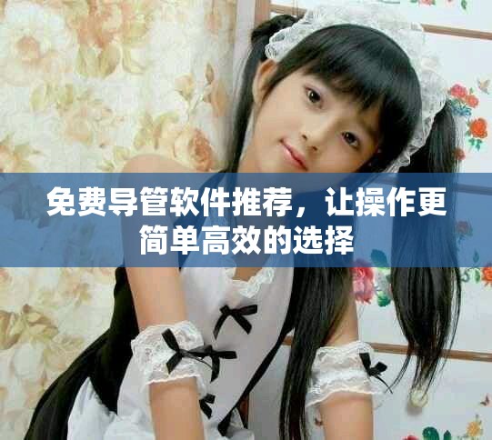 免费导管软件推荐，让操作更简单高效的选择