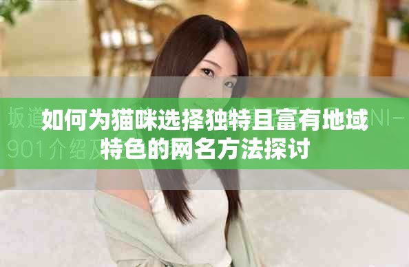 如何为猫咪选择独特且富有地域特色的网名方法探讨
