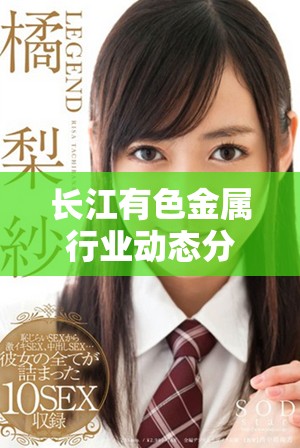 长江有色金属行业动态分析与市场趋势展望报告