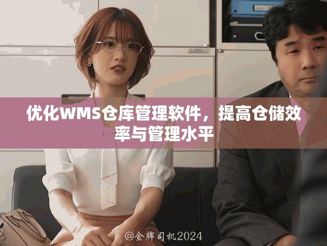 优化WMS仓库管理软件，提高仓储效率与管理水平