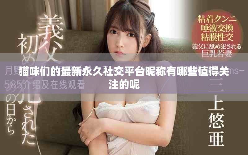 猫咪们的最新永久社交平台昵称有哪些值得关注的呢