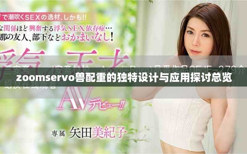 zoomservo兽配重的独特设计与应用探讨总览