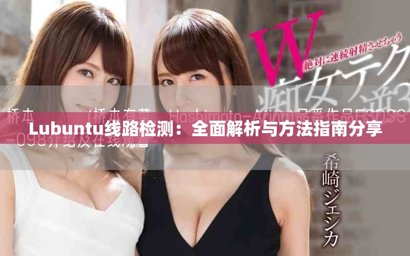 Lubuntu线路检测：全面解析与方法指南分享