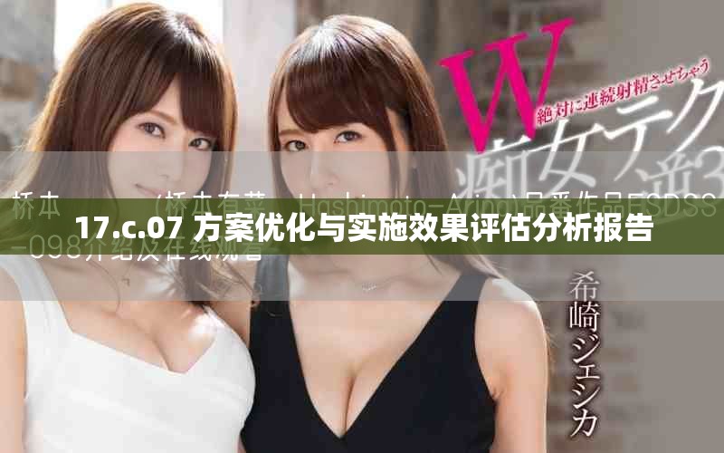 17.c.07 方案优化与实施效果评估分析报告