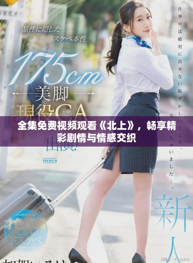 全集免费视频观看《北上》，畅享精彩剧情与情感交织