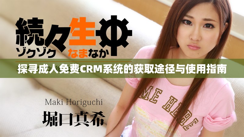 探寻成人免费CRM系统的获取途径与使用指南