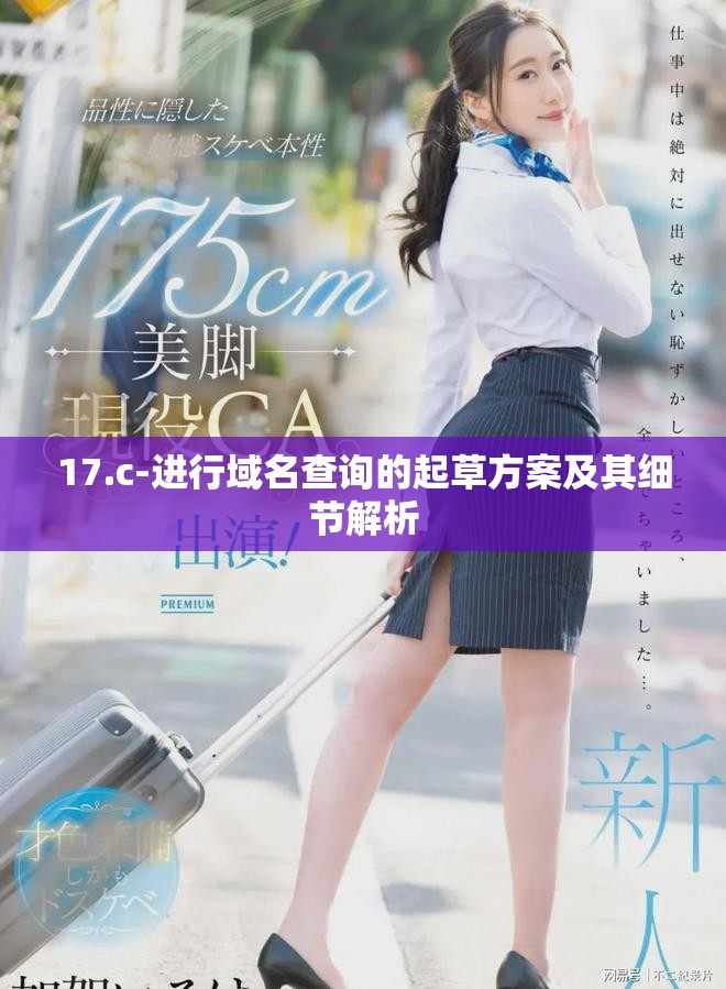 17.c-进行域名查询的起草方案及其细节解析