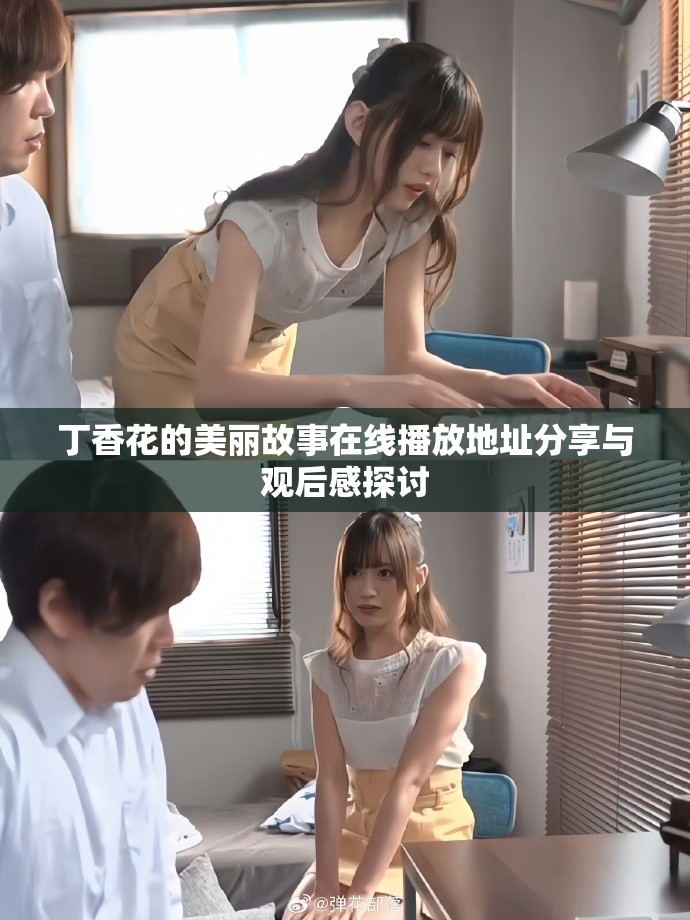 丁香花的美丽故事在线播放地址分享与观后感探讨