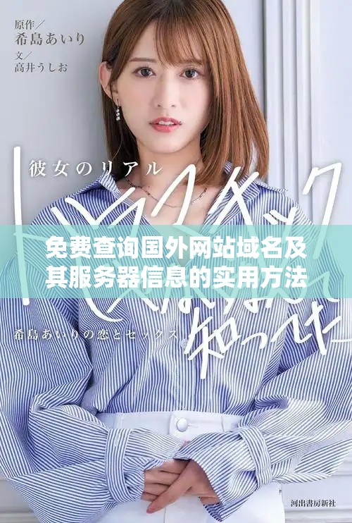免费查询国外网站域名及其服务器信息的实用方法