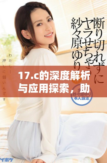 17.c的深度解析与应用探索，助力未来发展方向