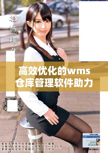 高效优化的wms仓库管理软件助力企业降本增效
