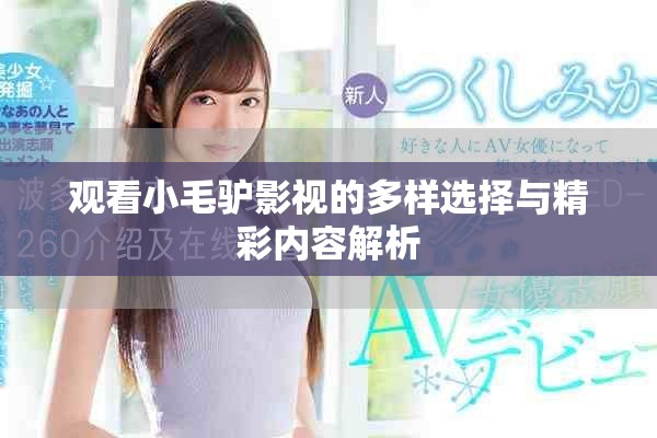 观看小毛驴影视的多样选择与精彩内容解析