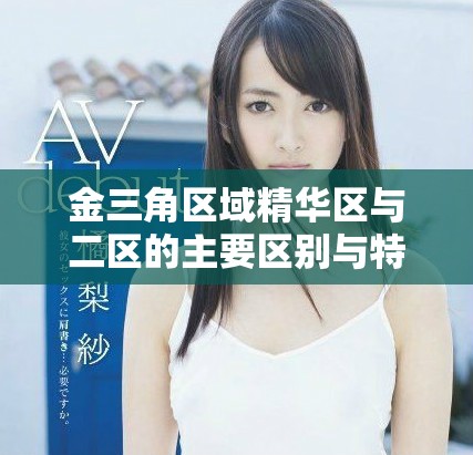 金三角区域精华区与二区的主要区别与特点分析