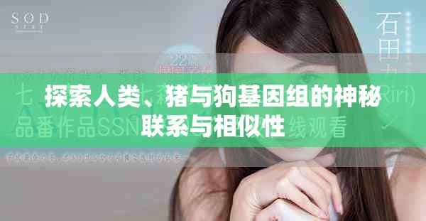 探索人类、猪与狗基因组的神秘联系与相似性