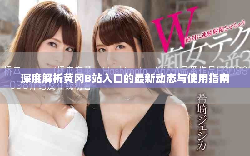 深度解析黄冈B站入口的最新动态与使用指南