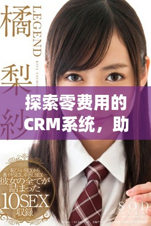 探索零费用的CRM系统，助力企业管理与成长