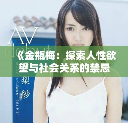 《金瓶梅：探索人性欲望与社会关系的禁忌之作》