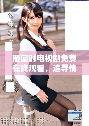 雁回时电视剧免费在线观看，追寻情感与历史的交织之旅