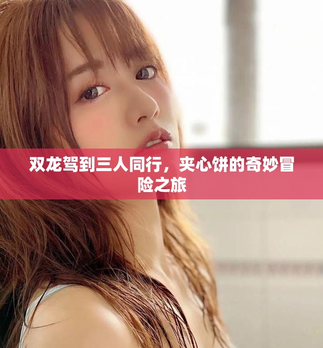 双龙驾到三人同行，夹心饼的奇妙冒险之旅