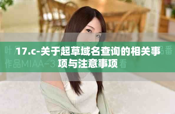 17.c-关于起草域名查询的相关事项与注意事项