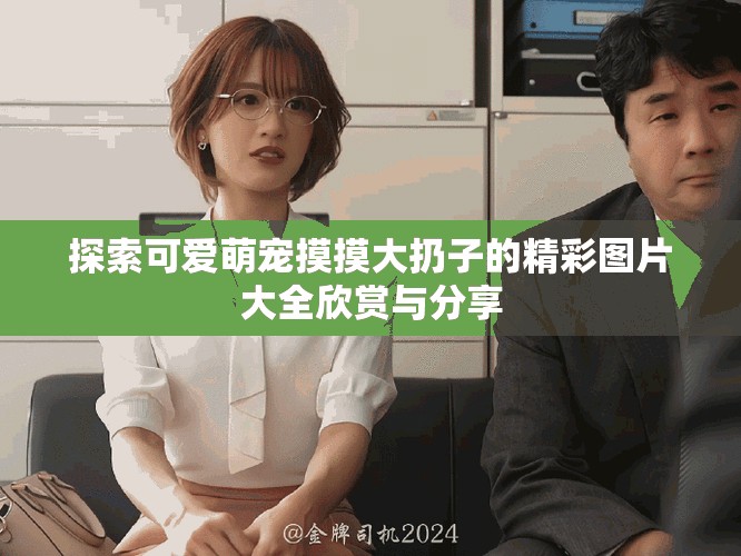 探索可爱萌宠摸摸大扔子的精彩图片大全欣赏与分享