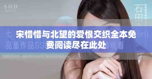 宋惜惜与北望的爱恨交织全本免费阅读尽在此处