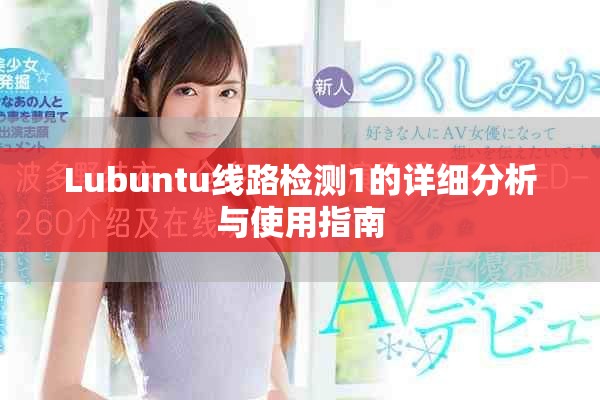 Lubuntu线路检测1的详细分析与使用指南