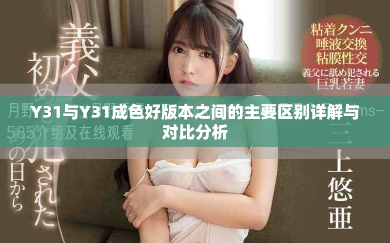 Y31与Y31成色好版本之间的主要区别详解与对比分析